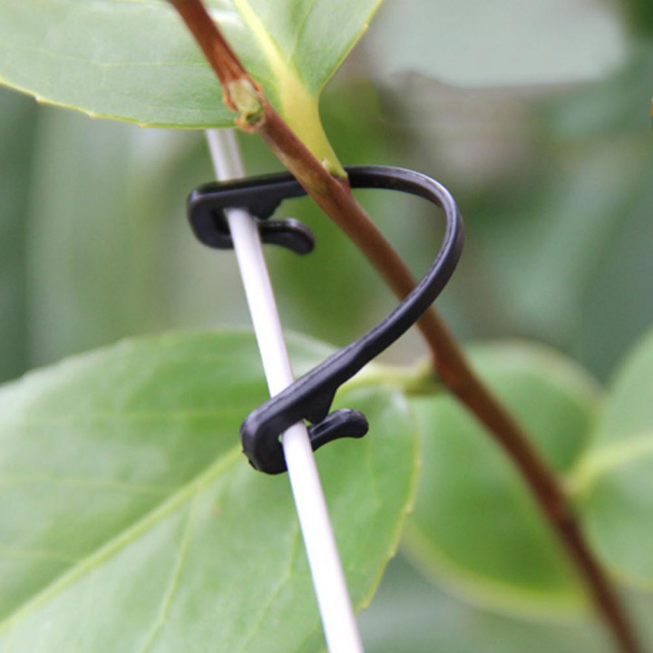 Universal plastic hooks - supports for seedlings, plants (10 pcs)