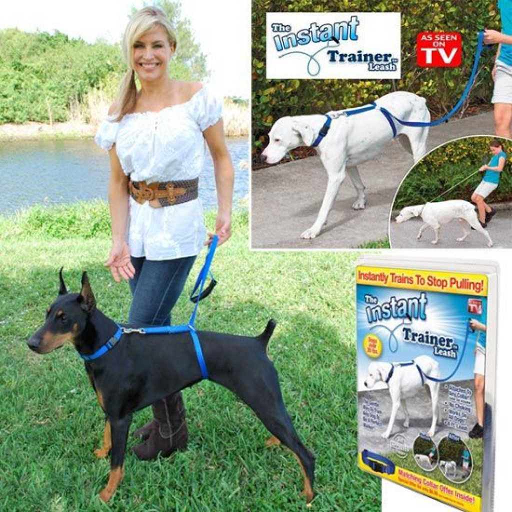 instant trainer leash