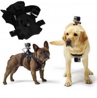 Go Pro strap for dogs