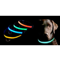 Pet Dog LED Safety Collar for Night Walking