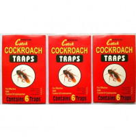 Cockroach trap, cardboard box with holes