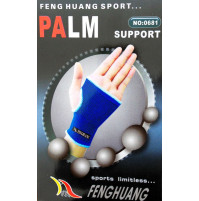 Elastic Palm Support