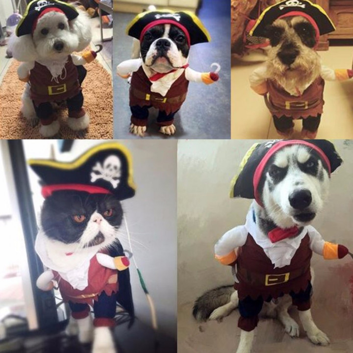 Funny Design Pet - Dogs Cats Pirate Costume Suit