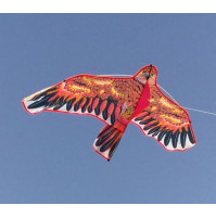 Bird Kite Dragon Fly Eagle