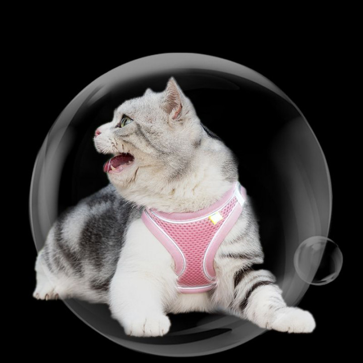 lv cat harness