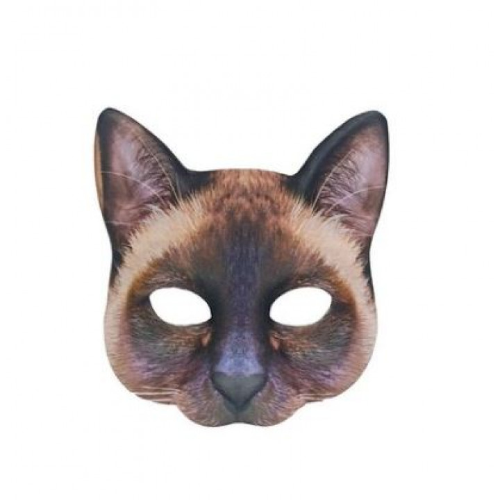 Carnival half mask of adorable cute cat or kitty