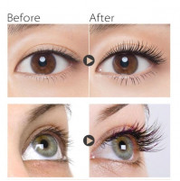 High-quality safe 3D or 6D volume false eyelashes