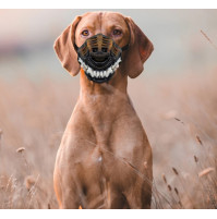 Scary frightening muzzle of the Hound of the Baskervilles for Halloween, practical jokes