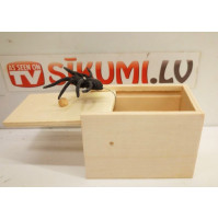 A box with a surprise, a jumping spider on a spring - for funny pranks