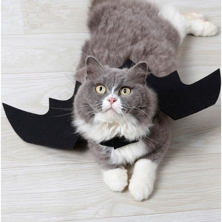 A fun, cool costume for a cat - CatBatman - . Gift Ideas