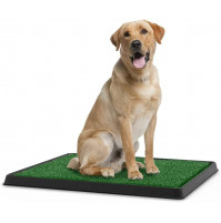 Home Toilet for Dogs, Artificial Turf Toilet Training System Pet Potty Puppy Trainer Deluxe