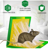 Effective trap against rodents, mice, rats, safe sticky mousetrap Crazy Trapper, 2 pcs