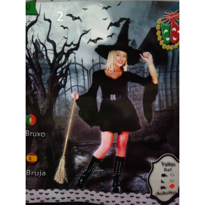 Halloween witch costume or carnival