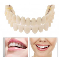 Dentist Training Kit, To Make Teeth Model, Dentures